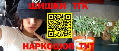 2c-b Новодвинск