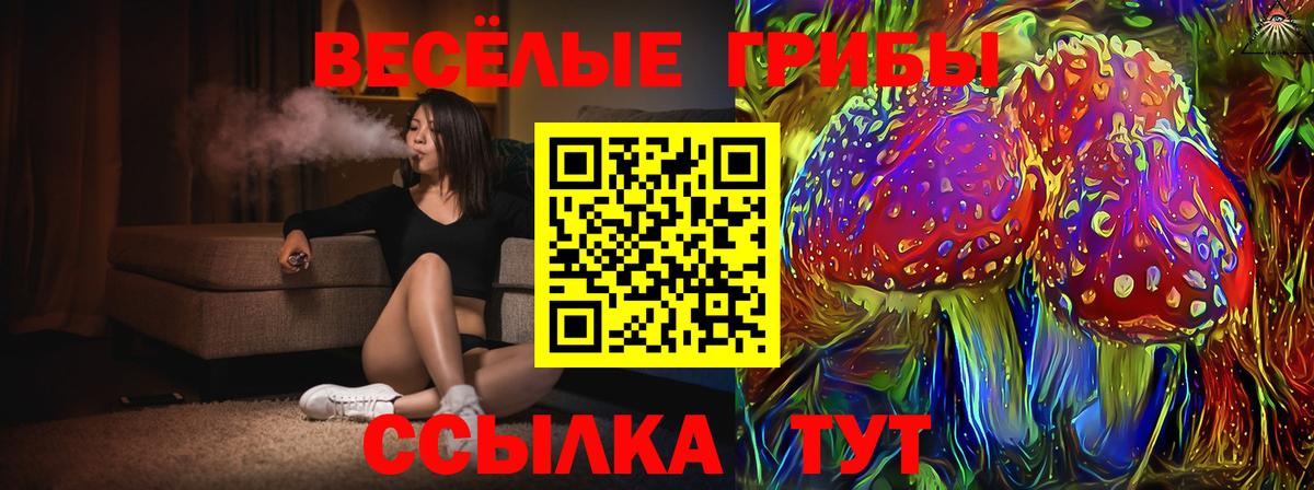 Псилоцибиновые грибы Psilocybine cubensis  Галлюциногенные грибы Psilocybine cubensis  Северобайкальск  Вход с VPN 