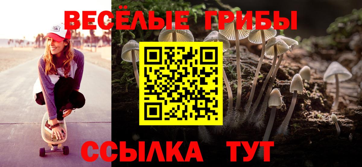 Псилоцибиновые грибы прущие грибы Северобайкальск